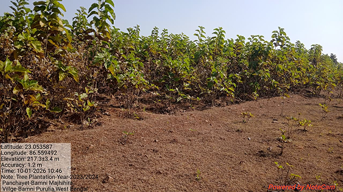 Impact Project Image